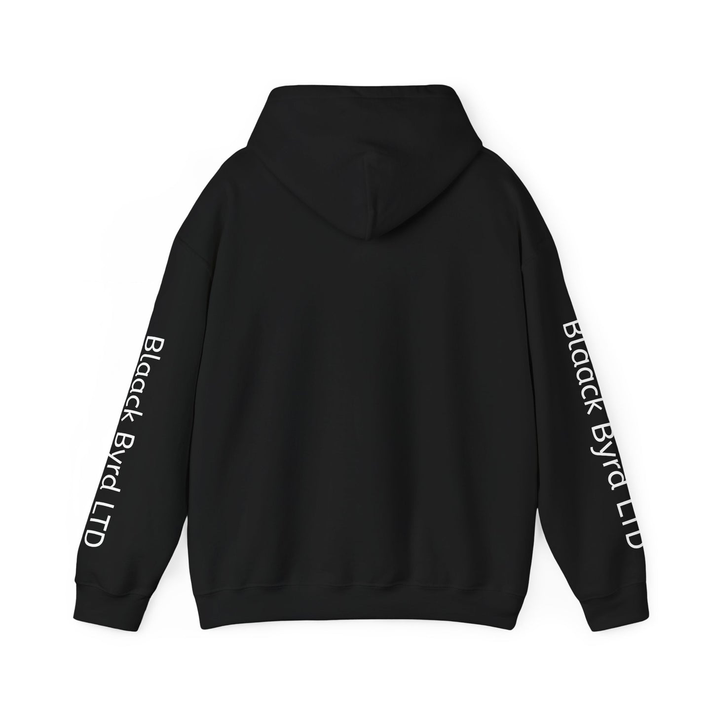 Religious Lifestyle Unisex Hooded Sweatshirt - God, Recovery, Outdoors, Health, Fitness