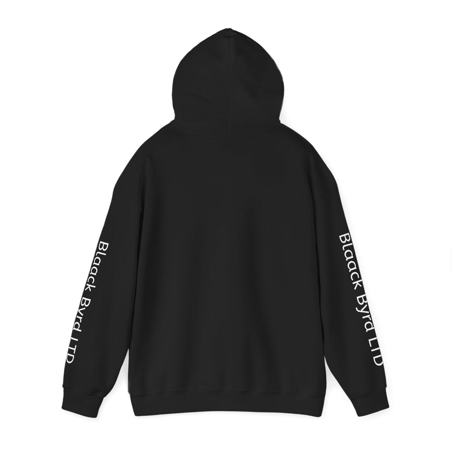 Religious Lifestyle Unisex Hooded Sweatshirt - God, Recovery, Outdoors, Health, Fitness