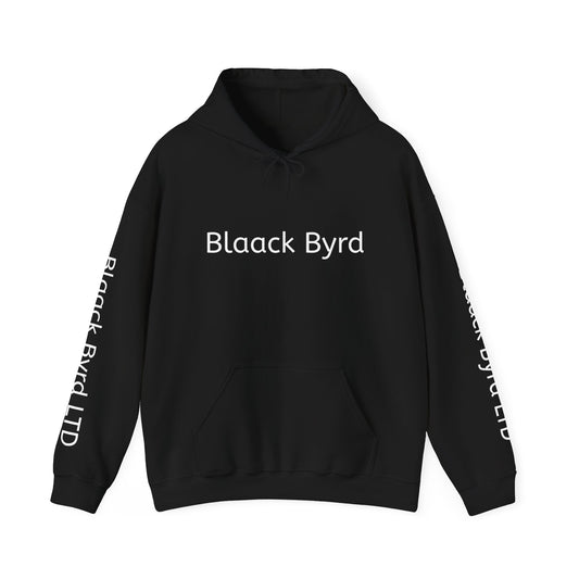 Religious Lifestyle Unisex Hooded Sweatshirt - God, Recovery, Outdoors, Health, Fitness